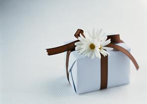 小銭入れだけじゃない！がま口の魅力